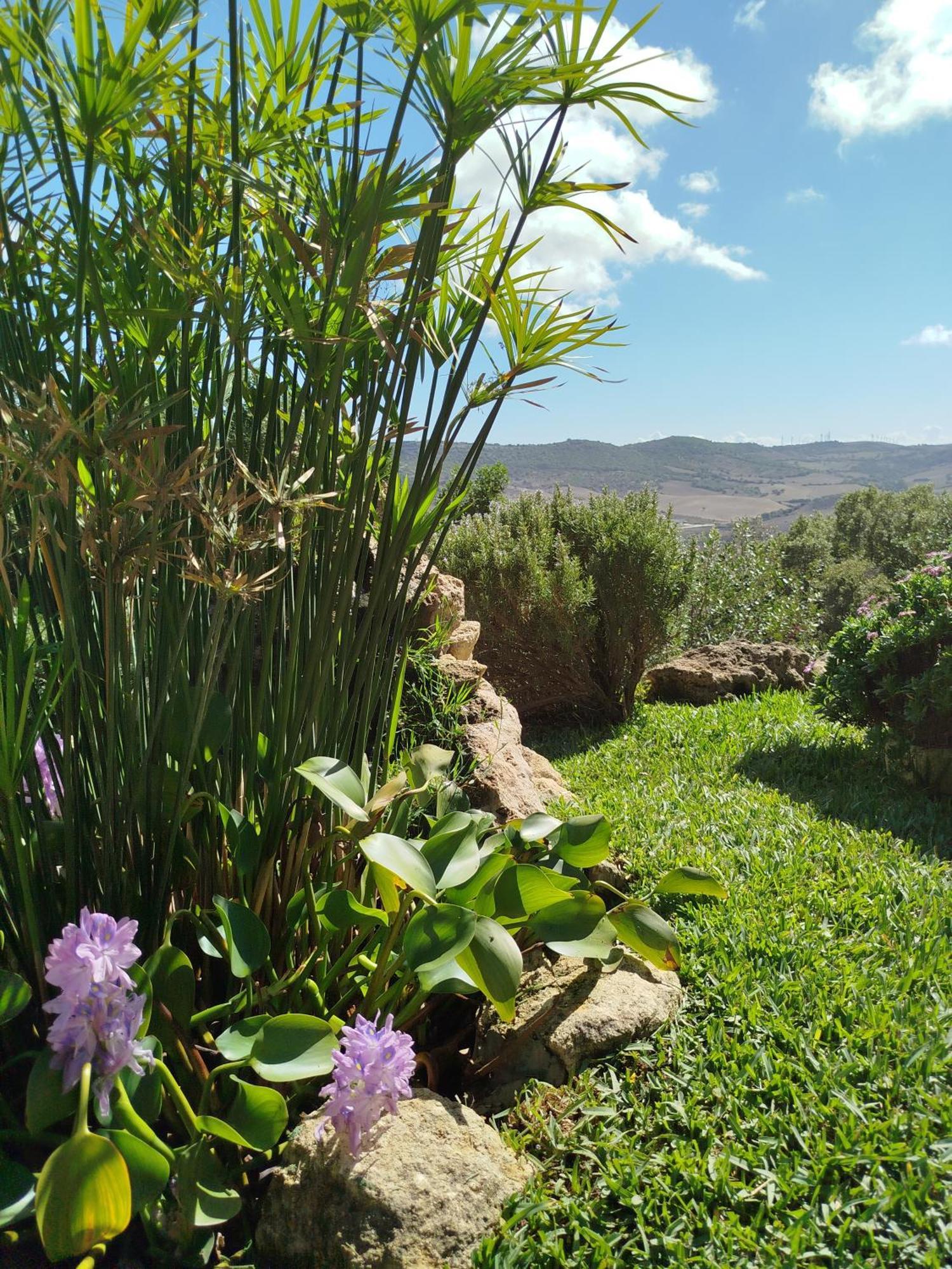 مْبيخير ذي لا فرونتيرا Casa Montecote Eco Resort المظهر الخارجي الصورة